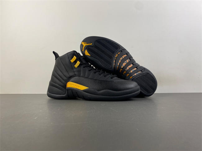 Air Jordan 12