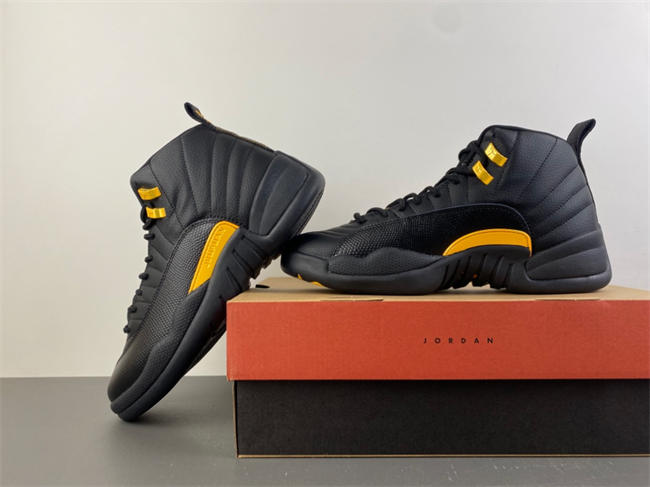 Air Jordan 12