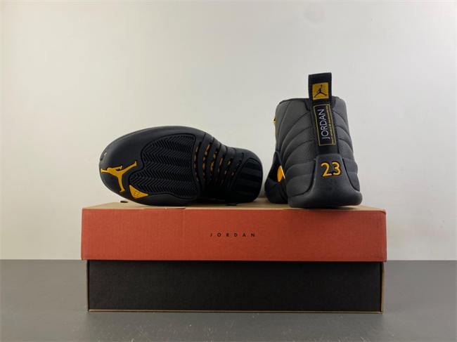 Air Jordan 12