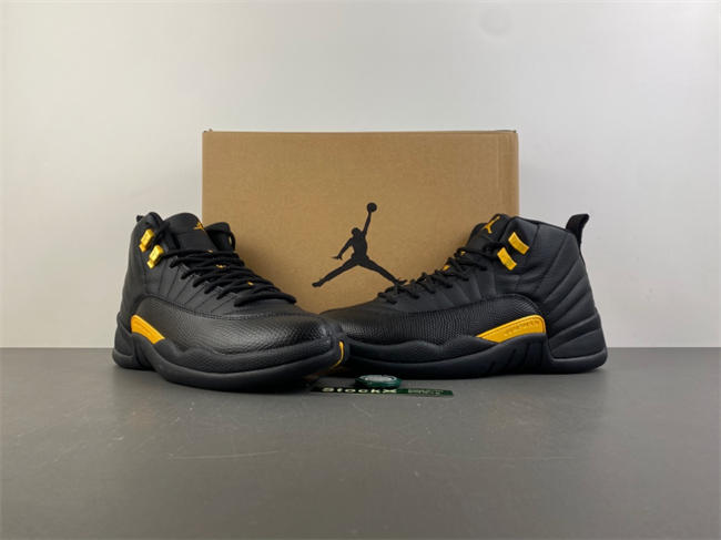 Air Jordan 12