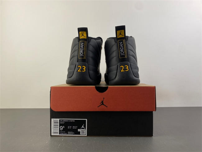Air Jordan 12